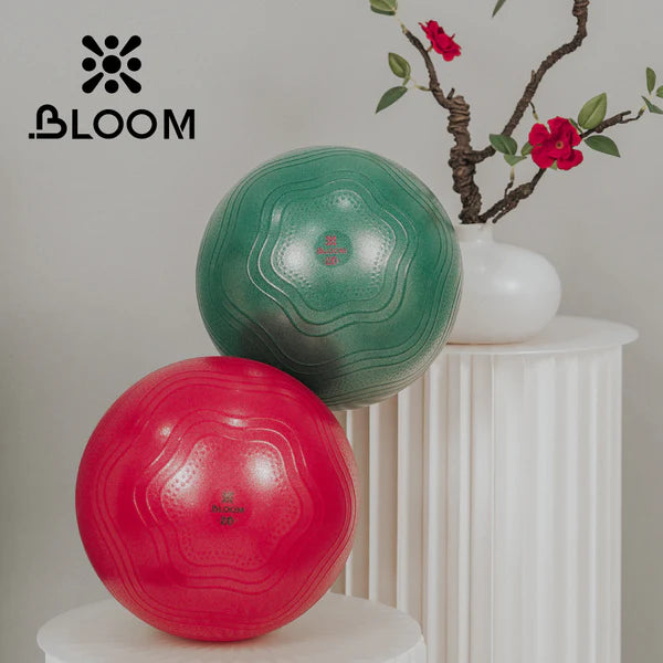 Фитбол LiveUp BLOOM Mini Ball LB7001/20/RD арт. 55546