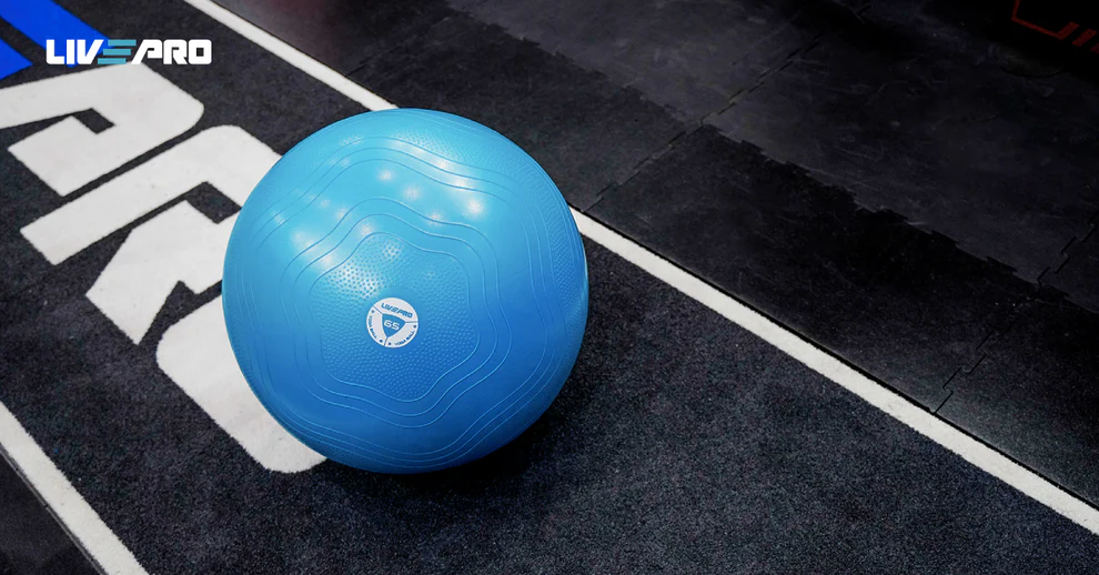 Фитбол LivePro LP8201