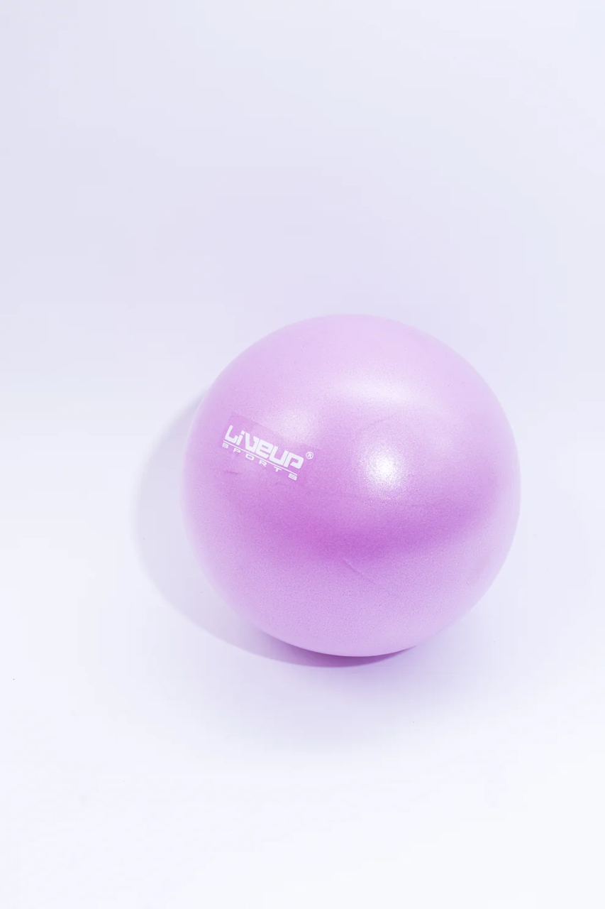 Фитбол LiveUp Mini Ball LS3225/20/VT арт. 41399