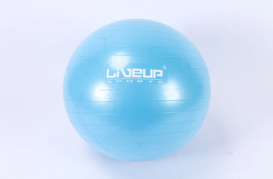 Fitball LiveUp LS3222/55/BU art. 41395