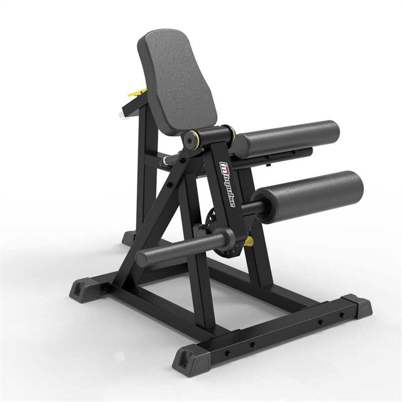Extensia picioarelor din șezut IFP1605 Seated Leg Extension