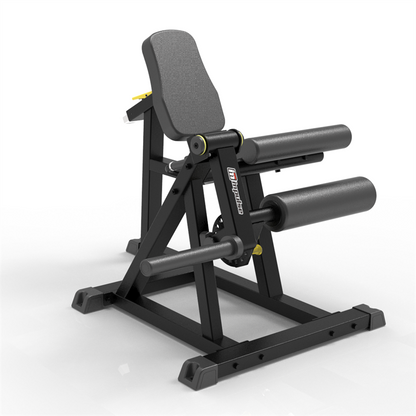 Extensia picioarelor din șezut IFP1605 Seated Leg Extension