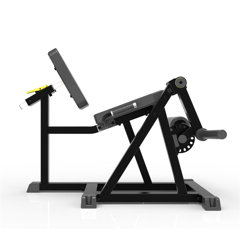 Extensia picioarelor din șezut IFP1605 Seated Leg Extension