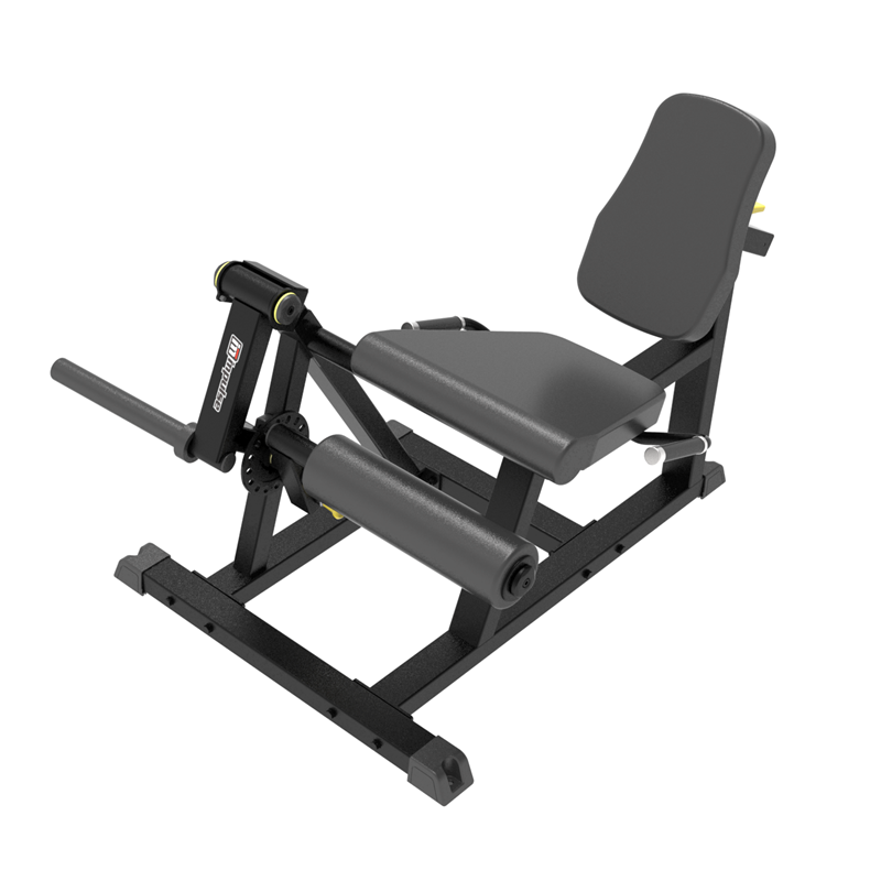 Extensia picioarelor din șezut IFP1605 Seated Leg Extension