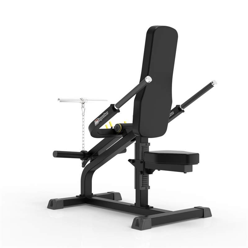 Biceps/Trips Impulse IFP1706