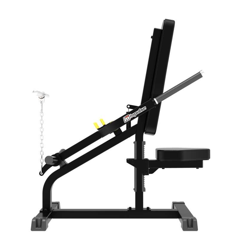 Biceps/Trips Impulse IFP1706