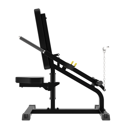 Biceps/Trips Impulse IFP1706