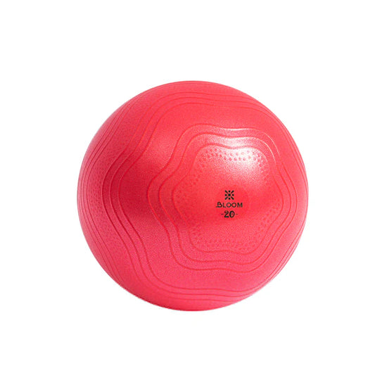 Fitball LiveUp BLOOM Mini Ball LB7001/20/RD art. 55546