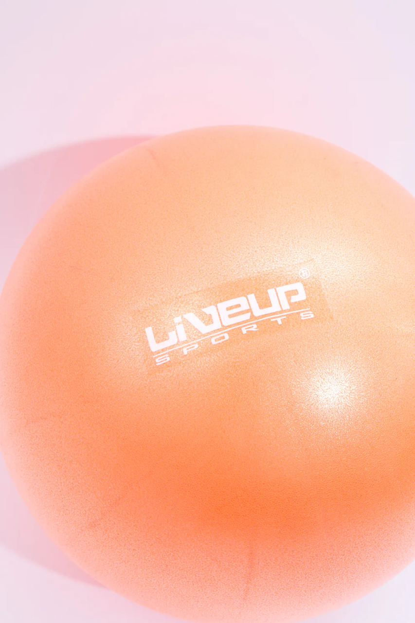 Fitball LiveUp Mini Ball LS3225/25/OG art. 41400