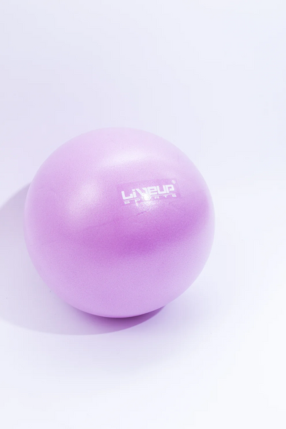 Fitball LiveUp Mini Ball LS3225/20/VT art. 41399