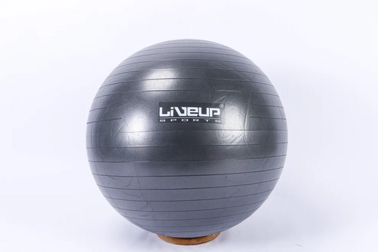 Fitball LiveUp LS3222/75/GY art. 41396