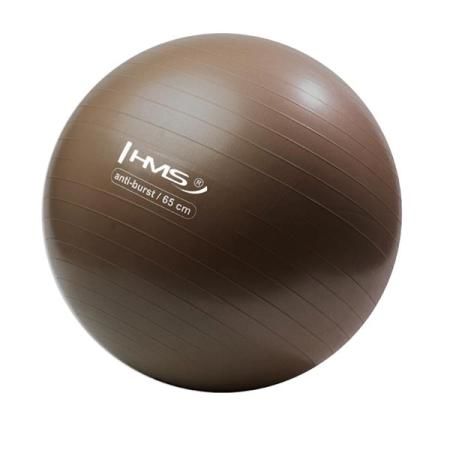 MINGE FITNESS YB02 grizzly 65CM HMS art.27901